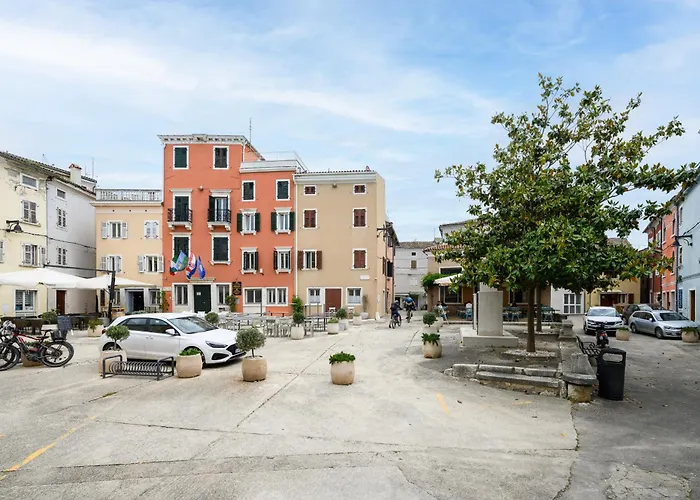 Premium Mida * 브르사르