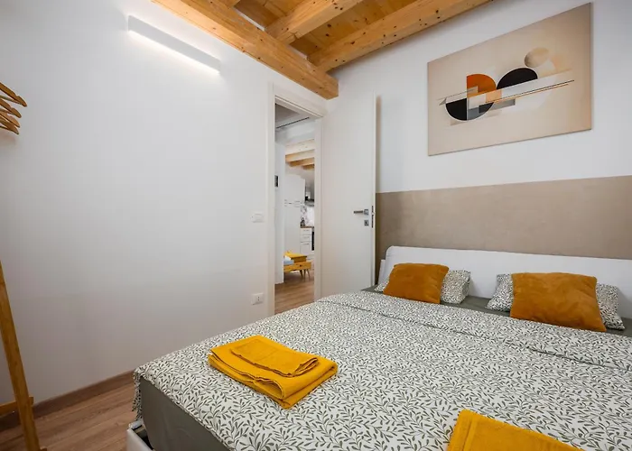 Premium Mida 브르사르