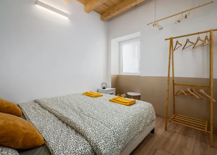 Premium Mida * 브르사르